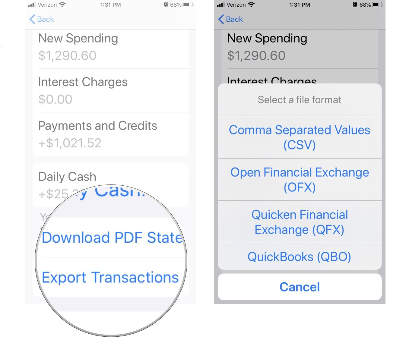 Exporting Apple Card Transactions showing the steps to tap export transactions and then tap your method of exporting