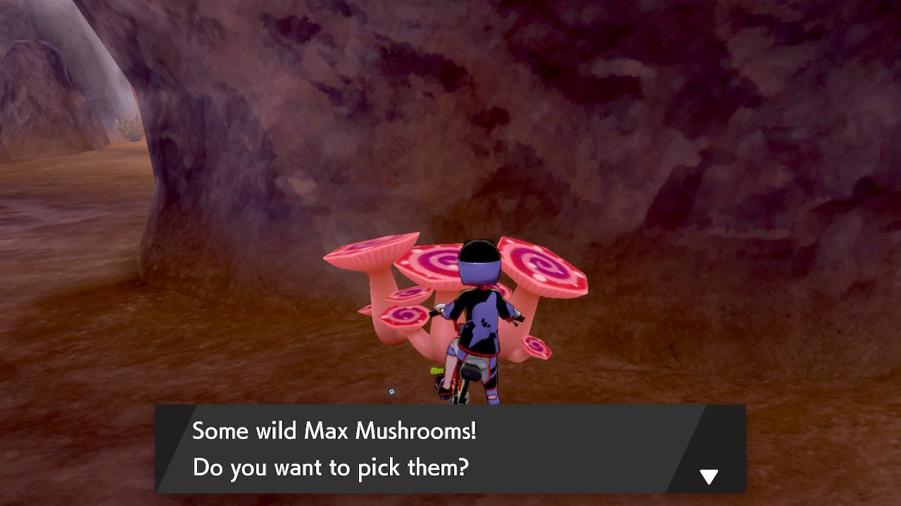 Pokemon Sword Shield Expansion Pass Max Mushrooms