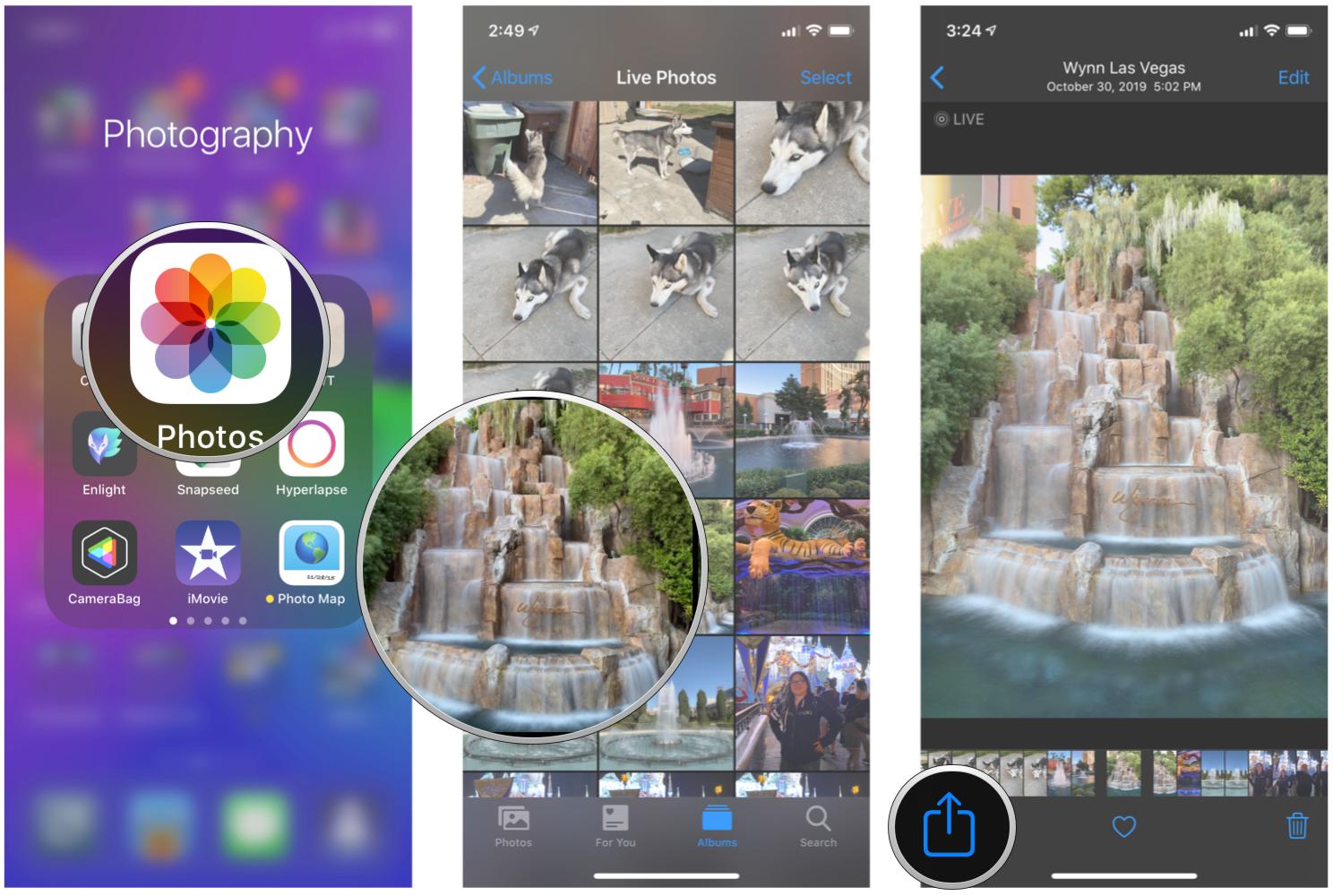 How to set a Live Photo as wallpaper on iPhone and iPad by showing steps: Launch Photos, find your Live Photo, tap Share