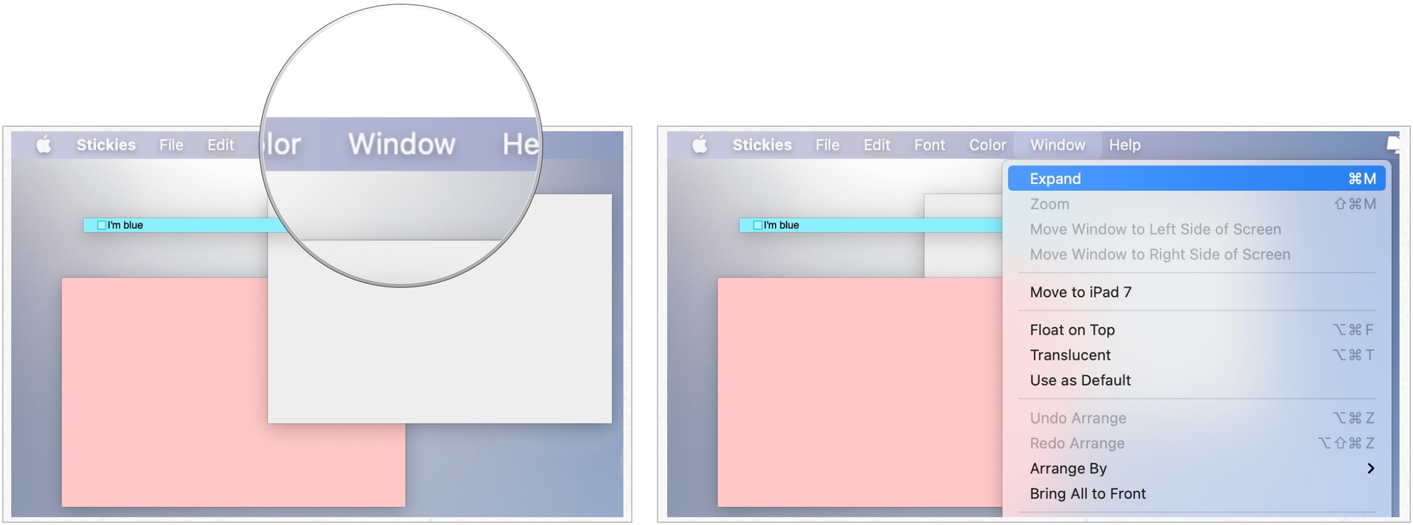 To expand Stickies, launch the Stickies app, then click on a collapsed note. Click Window, then select Expand. 
