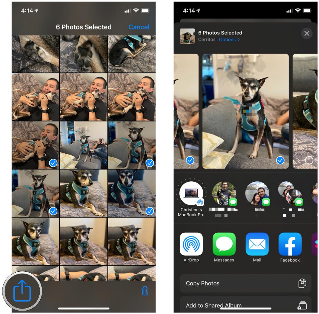 Как поделиться несколькими фотографиями из приложения «Фотографии» на iPhone, показывая шаги: нажмите кнопку «Поделиться», выберите предпочтительный метод обмена.