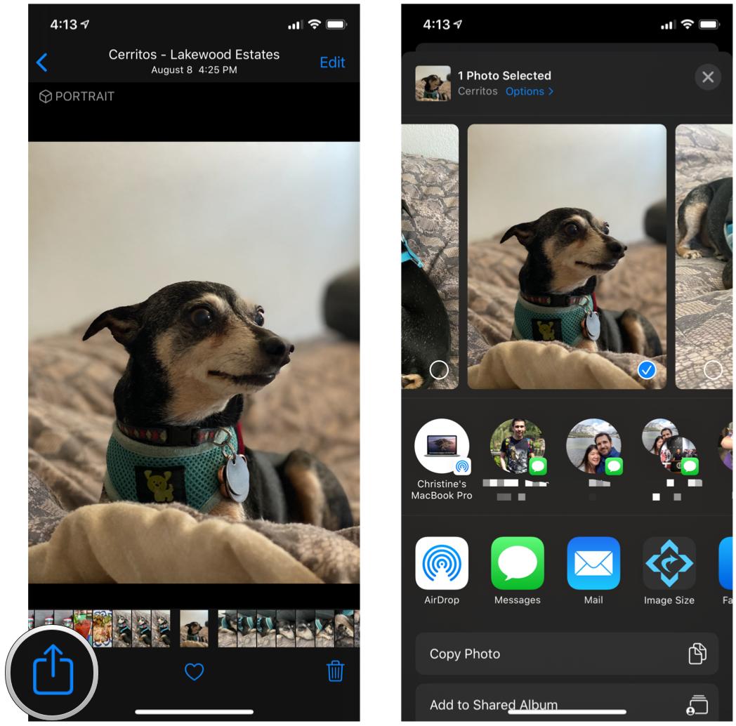 Как поделиться отдельными фотографиями из приложения «Фотографии» на iPhone, показывая шаги: нажмите кнопку «Поделиться», выберите предпочтительный метод обмена.