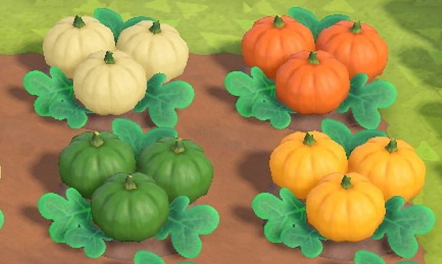 Acnh Pumpkin Colors