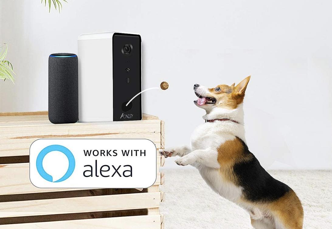 Aonesy Wifi Smart Pet Camera With Treat Dispenser Lifestyle
