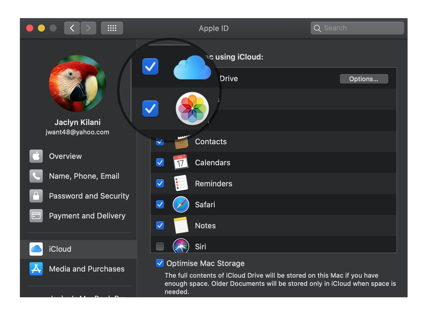Предоставьте доступ к iCloud на Mac: установите или снимите флажок «Приложения»