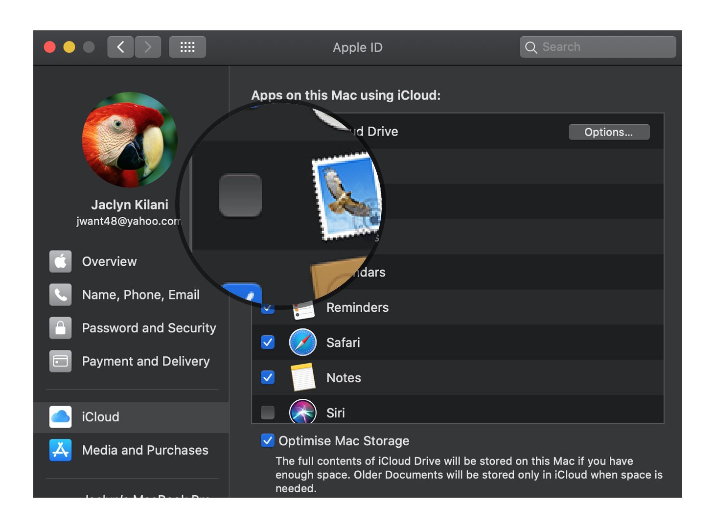 Revoke iCloud access on Mac: Uncheck Apps