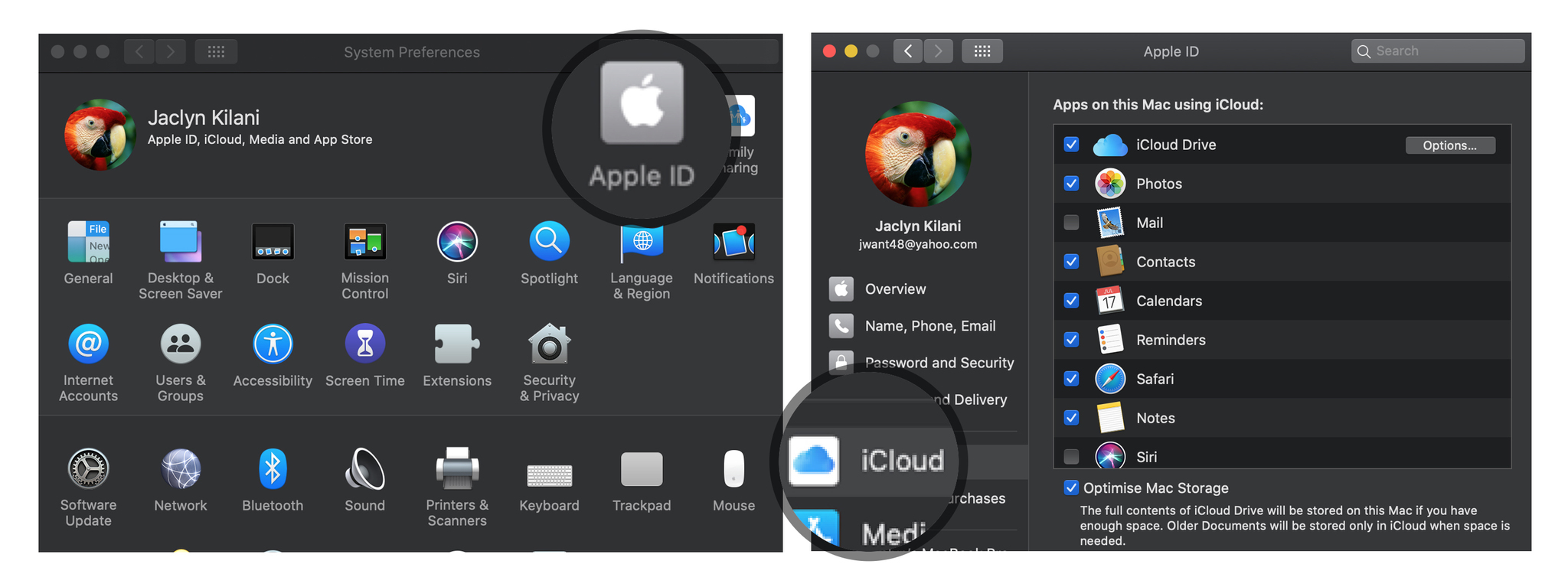 Отмените доступ к iCloud на Mac: щелкните Apple ID, щелкните iCloud.