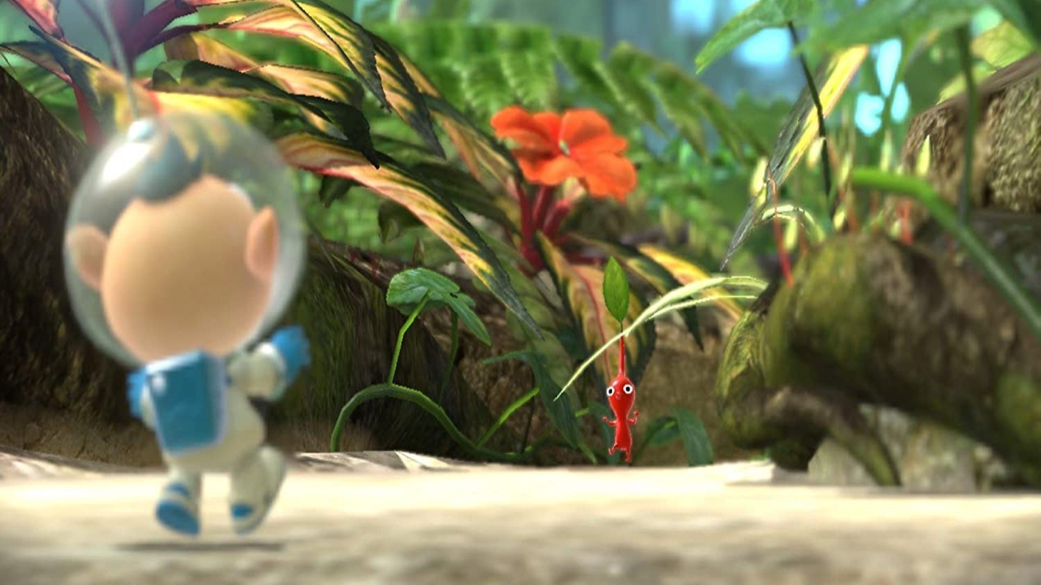Pikmin 3 Deluxe Encounter With Pikmin