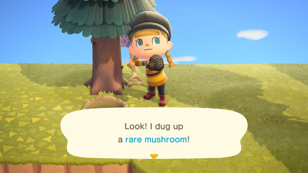 Acnh Dug Up Rare Mushroom