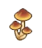 Acnh Skinny Mushrooms