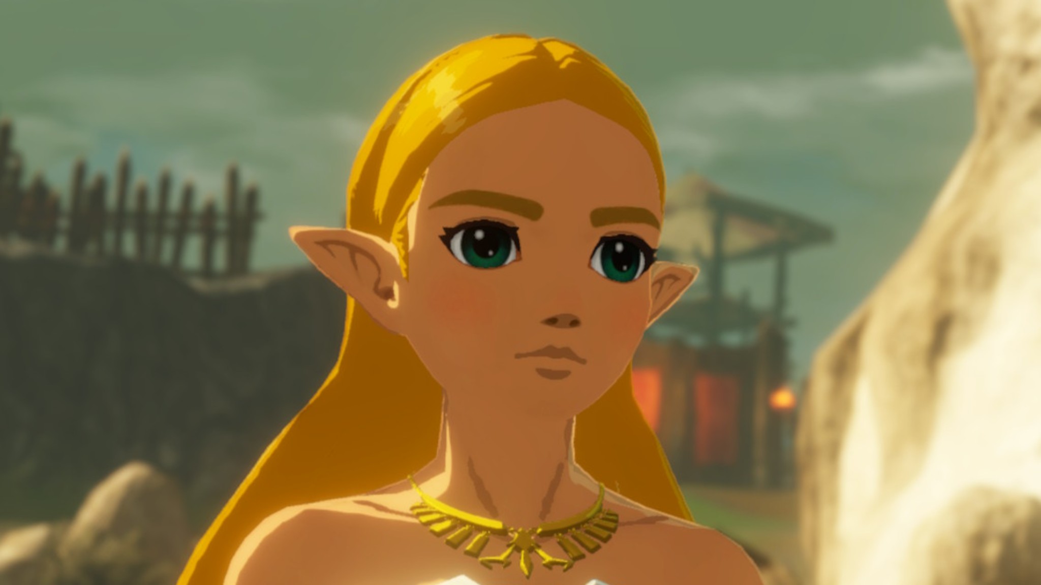Hyrule Warriors Determined Princess Zelda