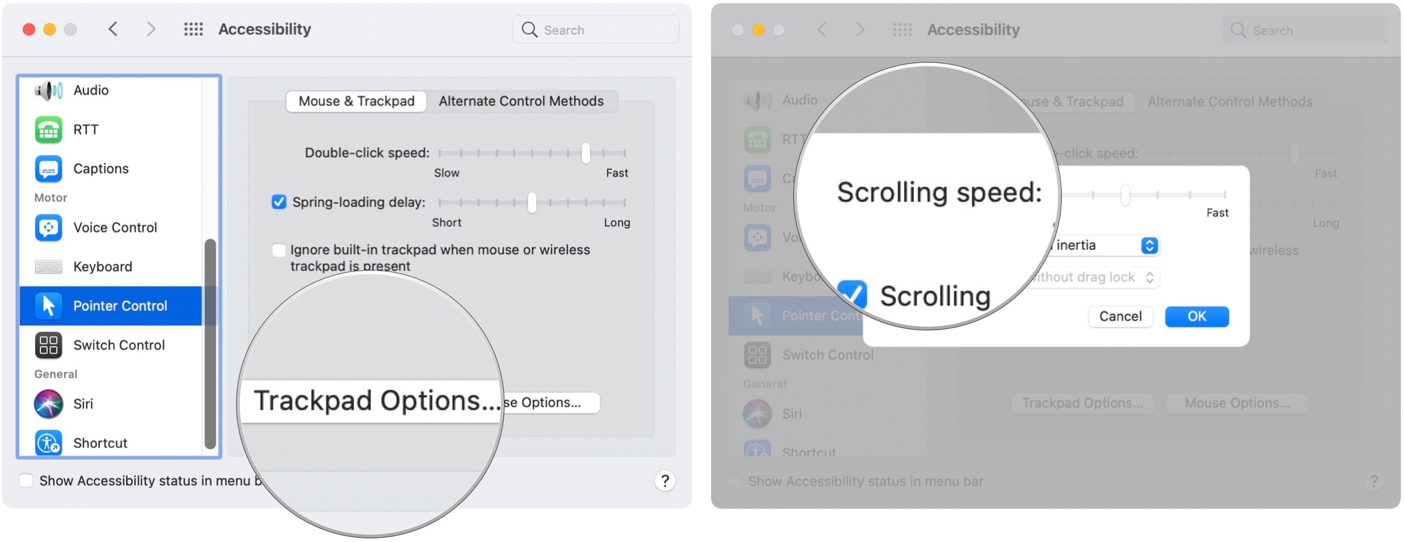 To speed up or slow down scrolling on a Mac trackpad, click on Trackpad Options. Then move the Scrolling speed slider.