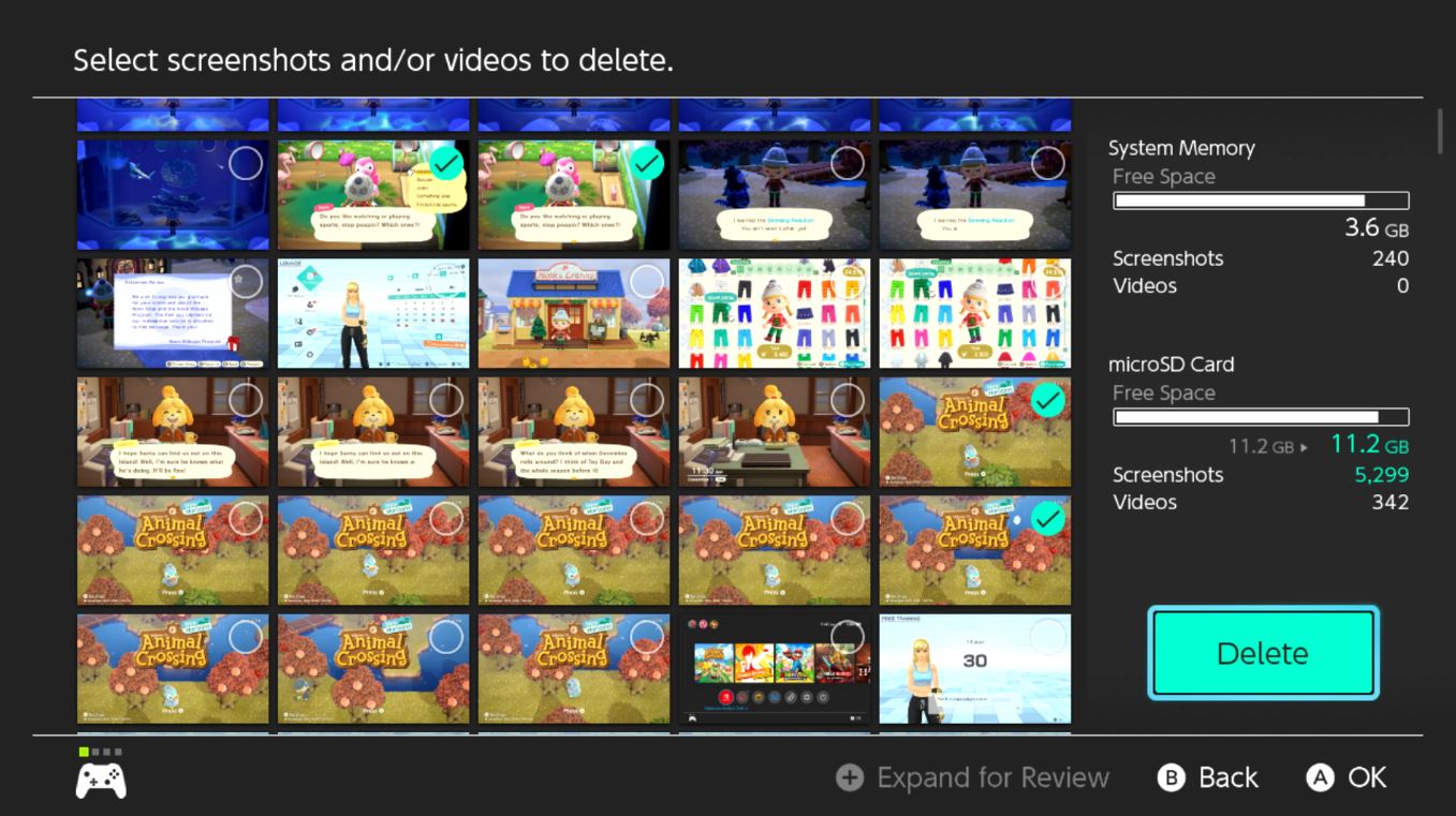 Nintendo Switch Delete Screenshots Delete Menu