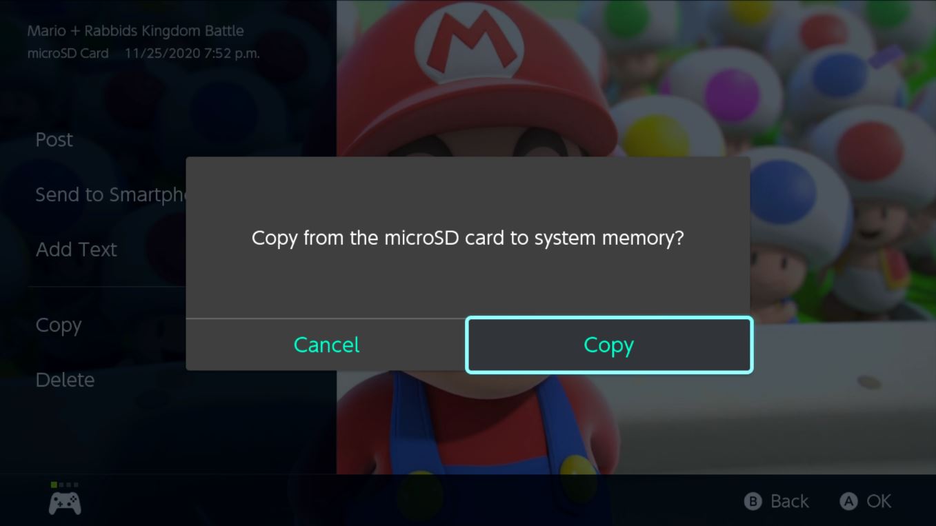 Nintendo Switch Screenshot Copy Again