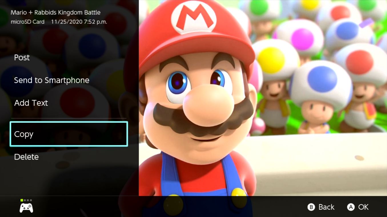 Nintendo Switch Screenshot Copy