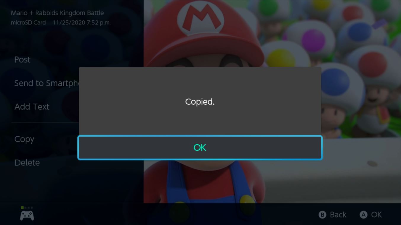 Nintendo Switch Screenshot Ok