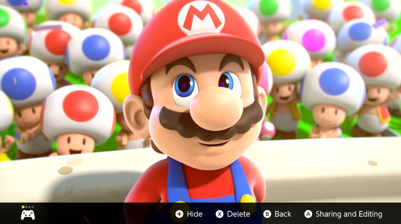 Nintendo Switch Screenshot Press A