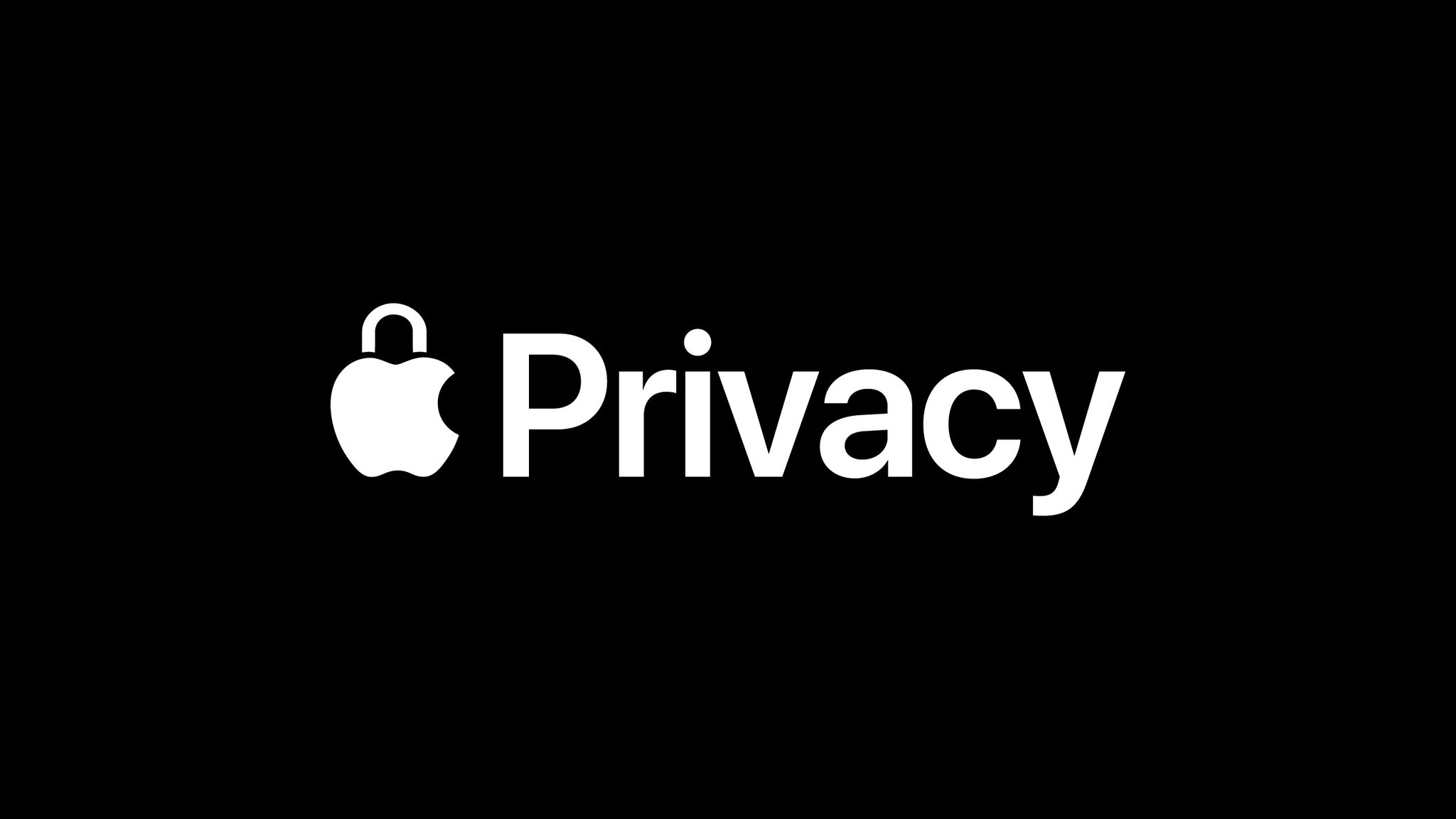 Apple Privacy Day Privacy Logo