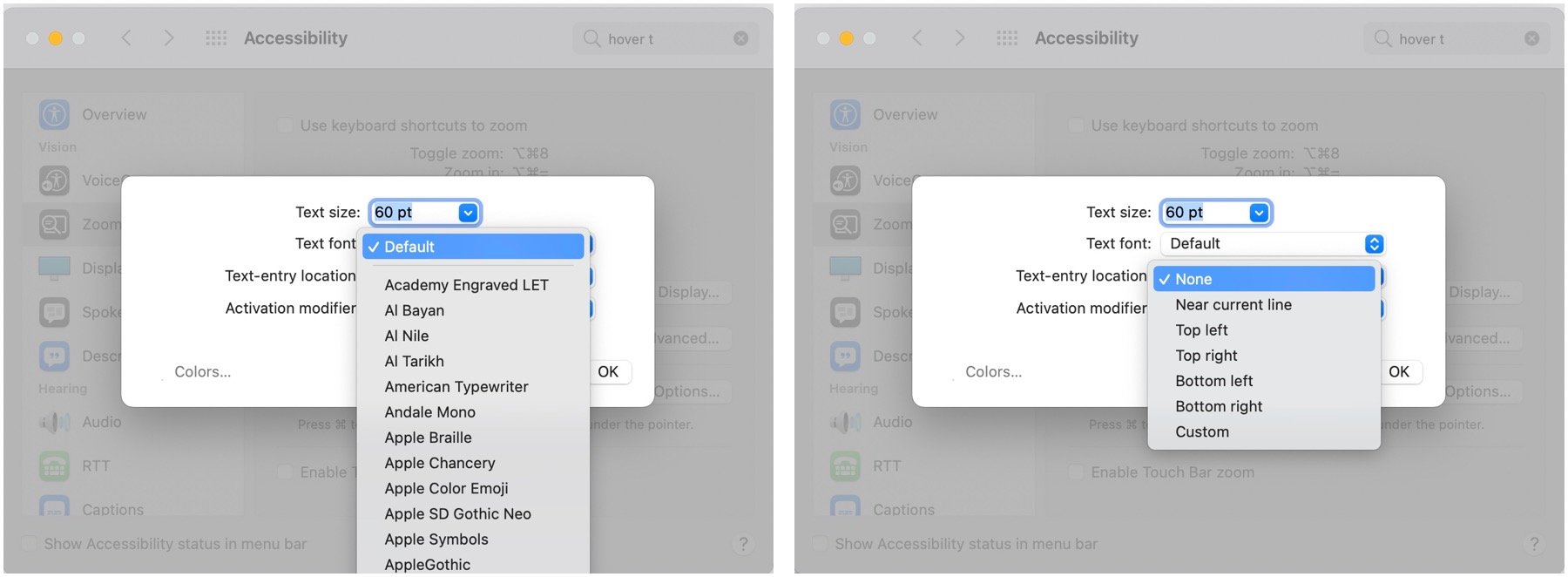 To enable and manage Hover Text, choose a font, click on text entry location options.