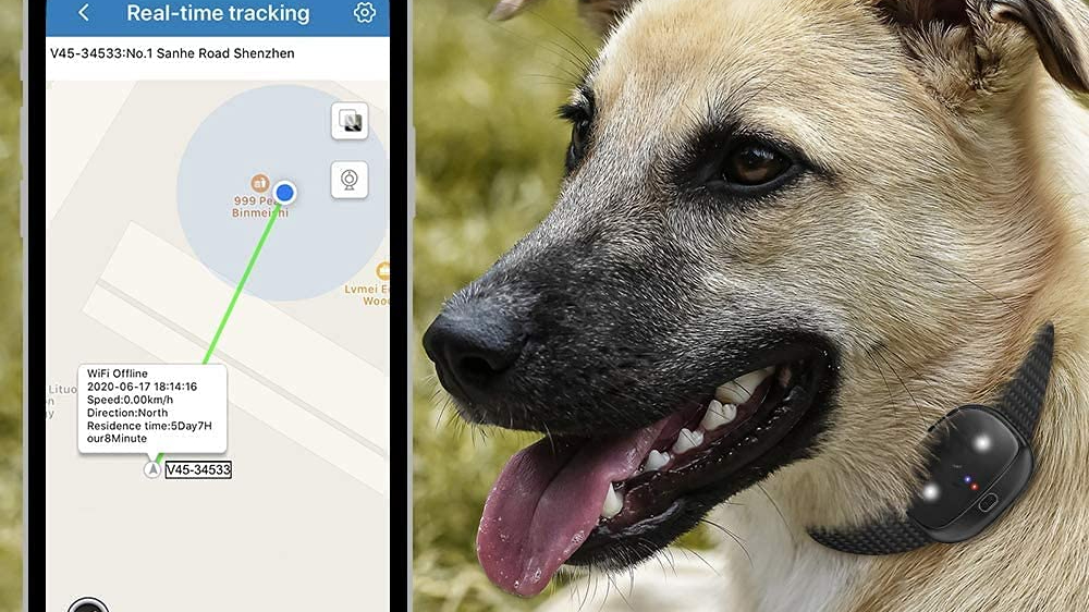 GSM 2G 3G 4G LTE for Dog CAT Animal Tracking and Activity Devices 3 in 1 Worldwide 4G LTE Network Padfender PET Tracker SiM Card