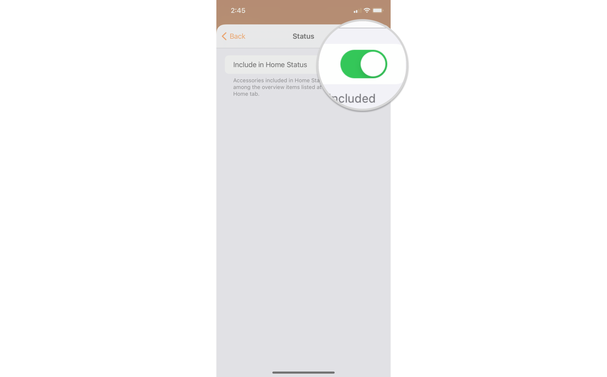 How to monitor and adjust the status of HomeKit accessories on an iPhone by showing steps: Include in Home Status