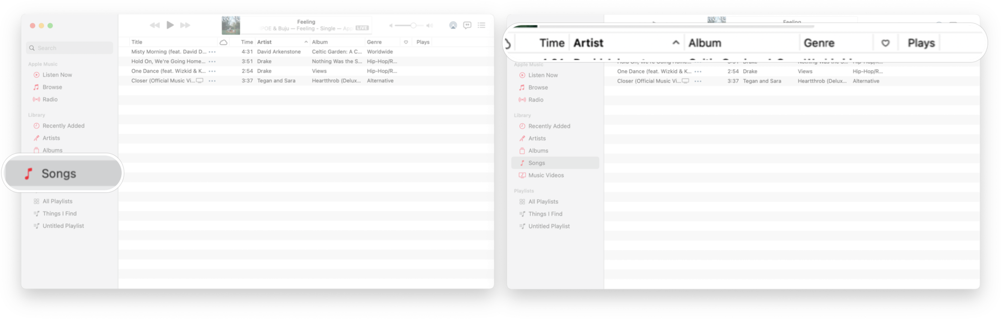 How To View And Sort Music In Macos Big Sur 06 Fixed