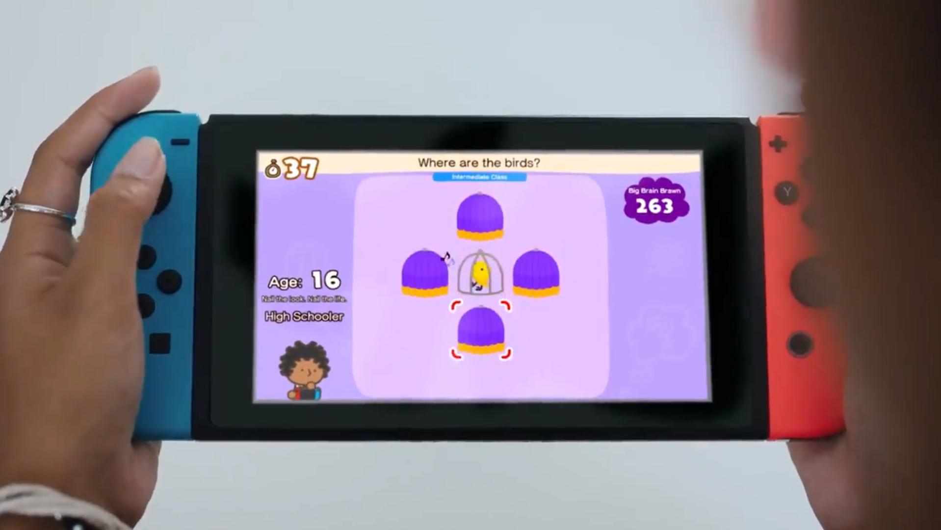 Big Brain Academy Brain Vs Brain Nintendo Switch Bird Gameplay