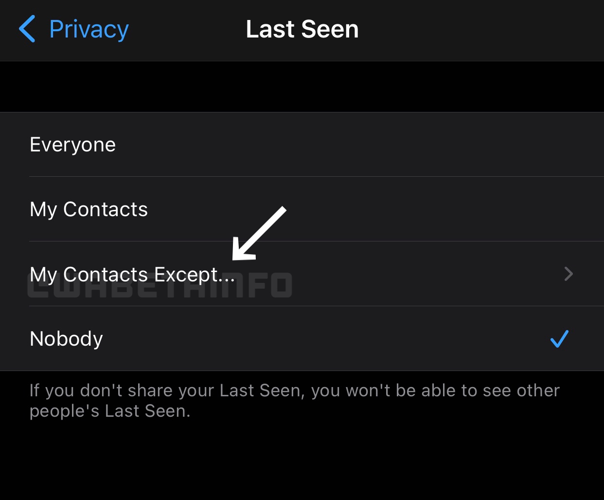 Whatsapp Last Seen Privacy Screen