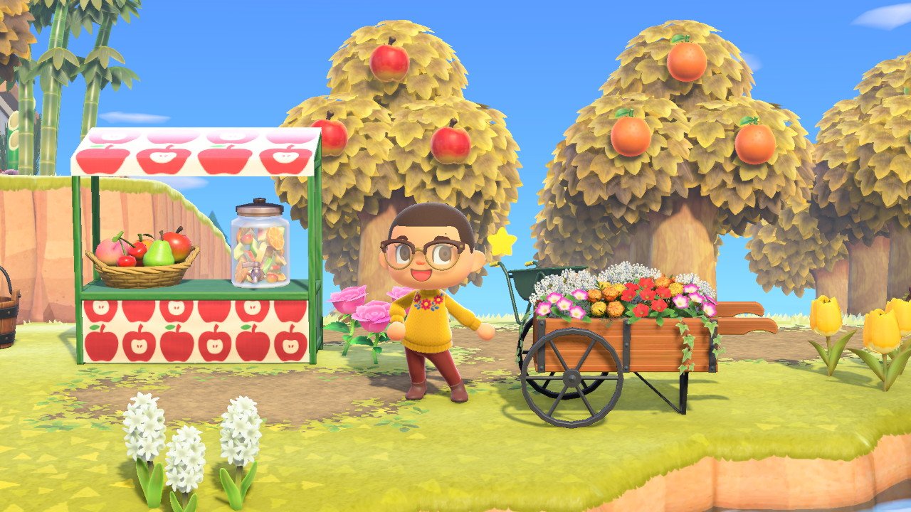 Animal Crossing New Horizons Fruit Pomme Orange