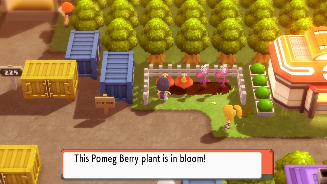 Pokemon Bdsp Ev Training Berries