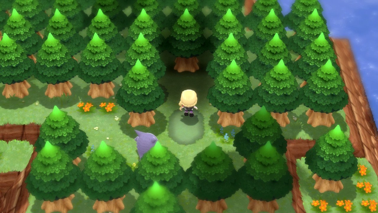 Pokemon Bdsp Enter Forest