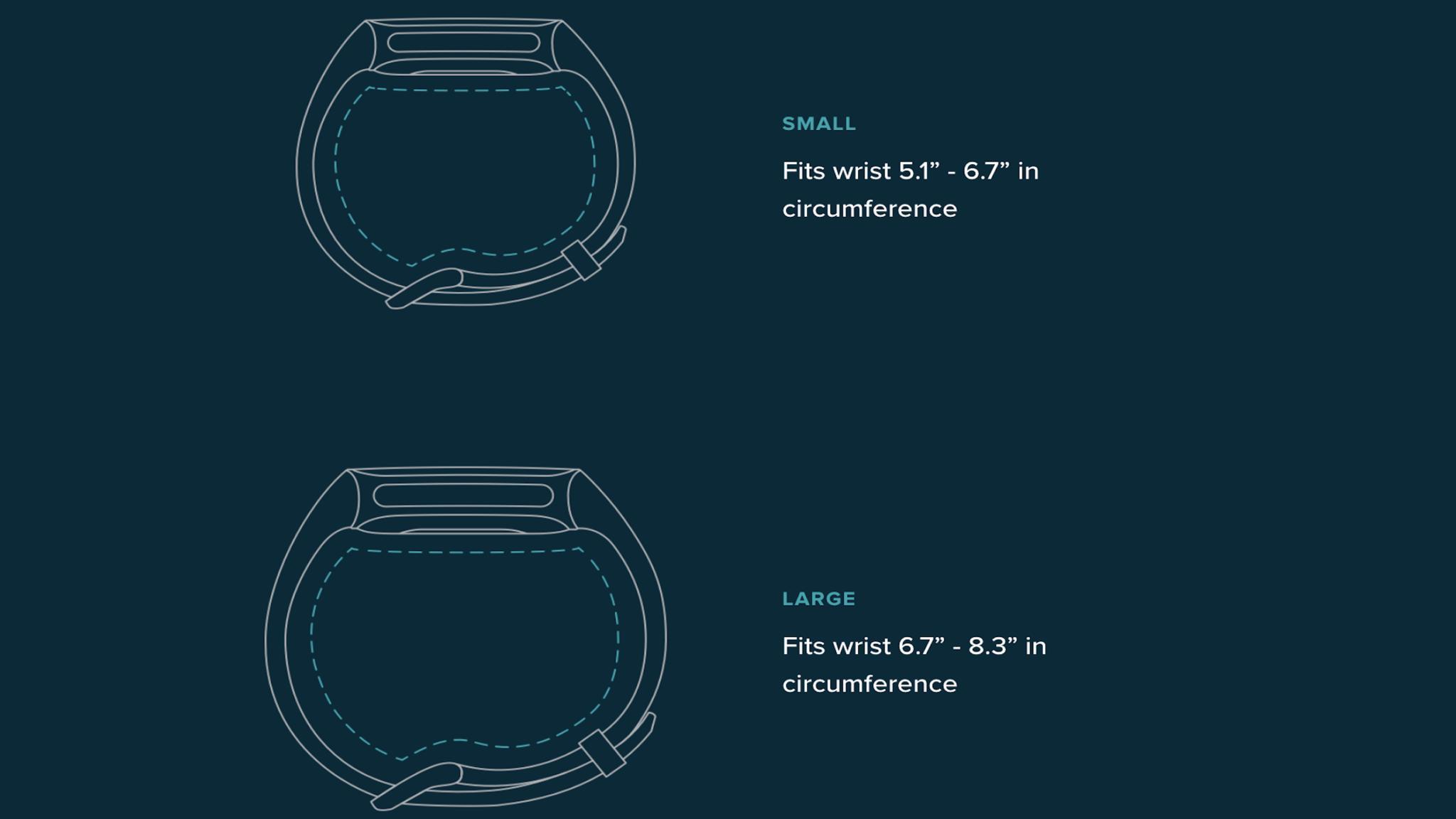 Fitbit Size Guide