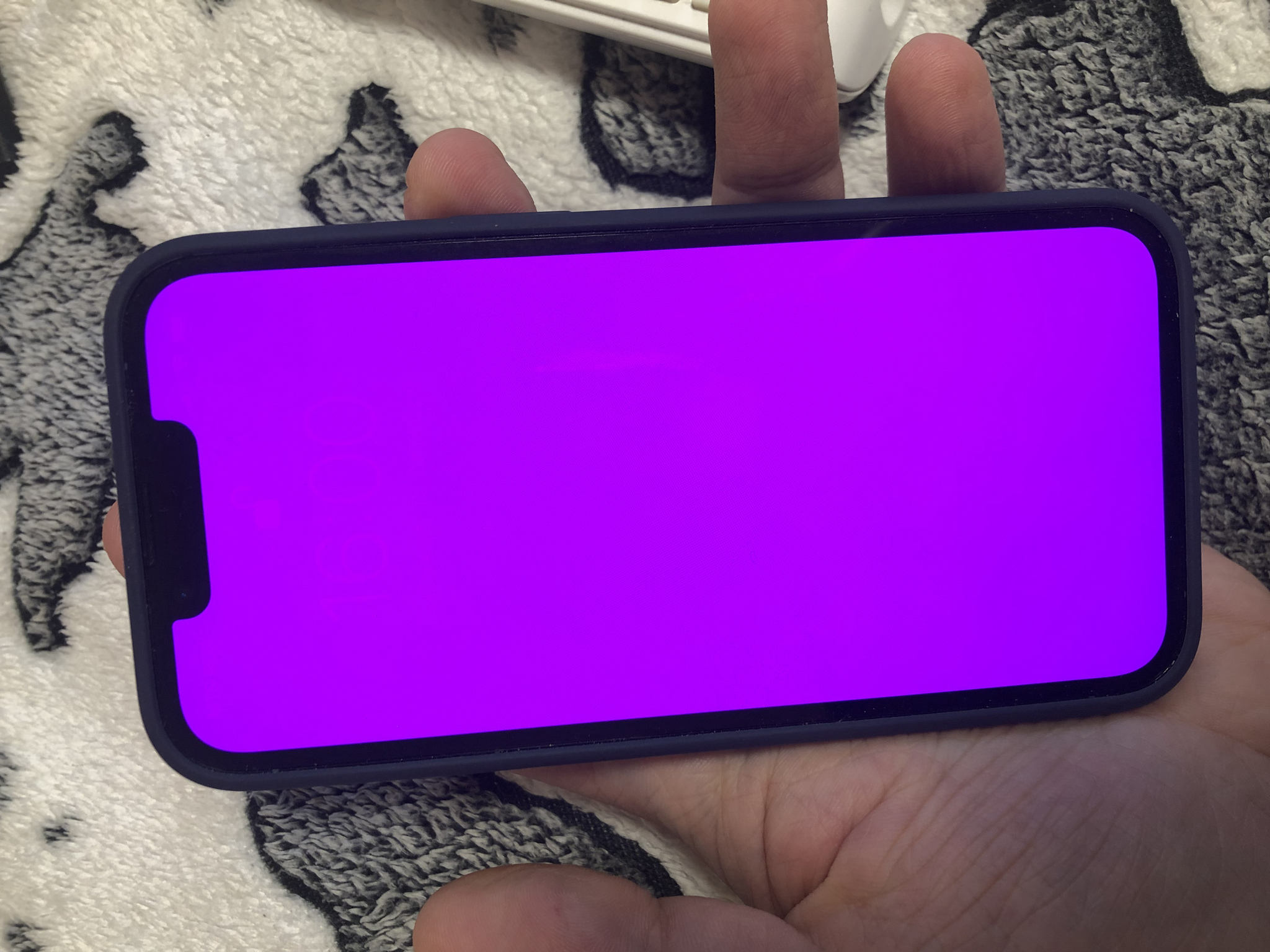 Iphone 13 Pink Screen