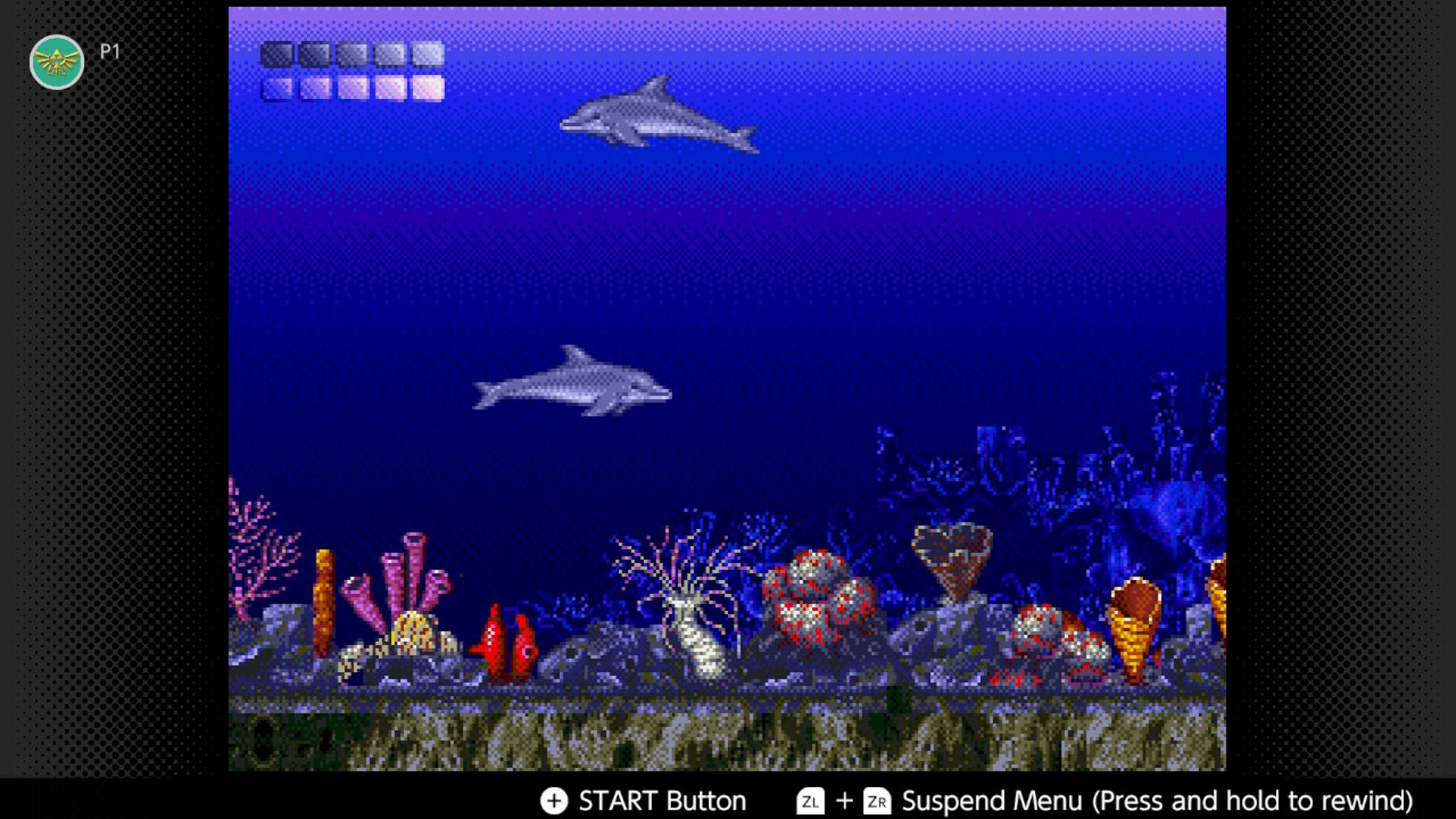 Ecco The Dolphin Switch