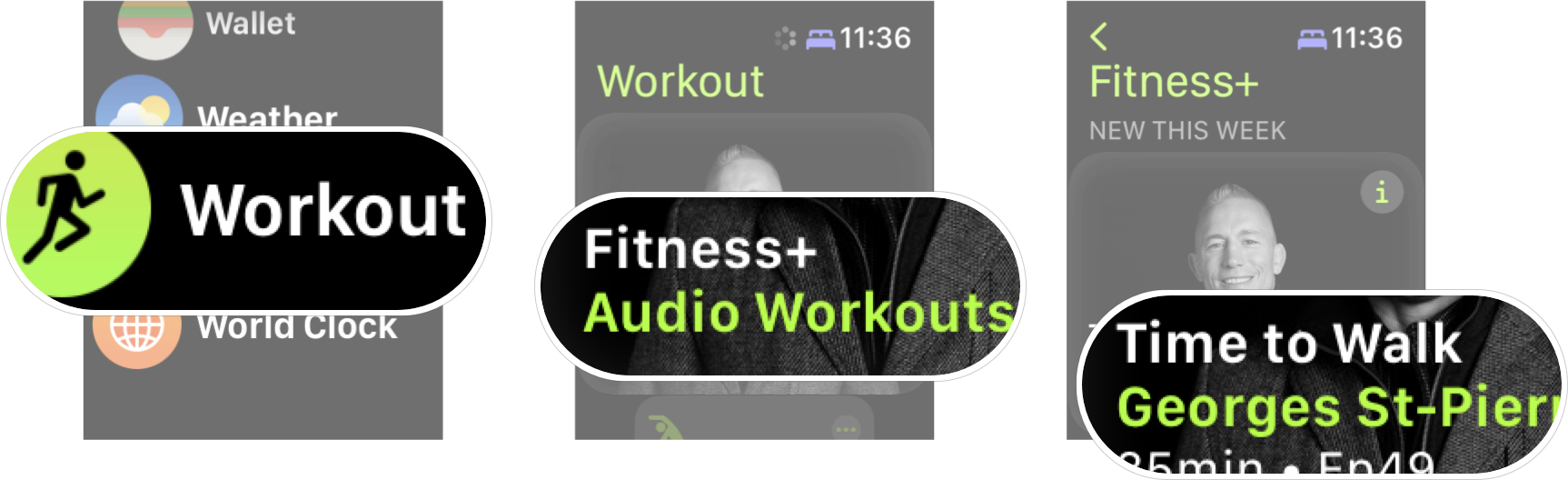Launch Latest Time To Walk Episode On Apple Watch: Launch the Workout app from your Apple Watch, tpa audio workouts, then tap Time to Walk. 