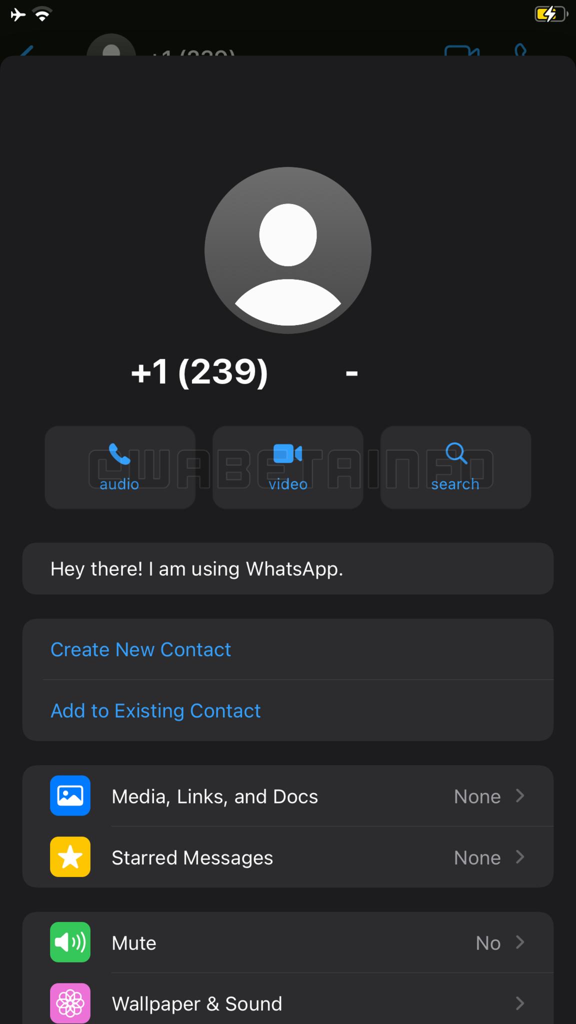 Updated Whatsapp contact page