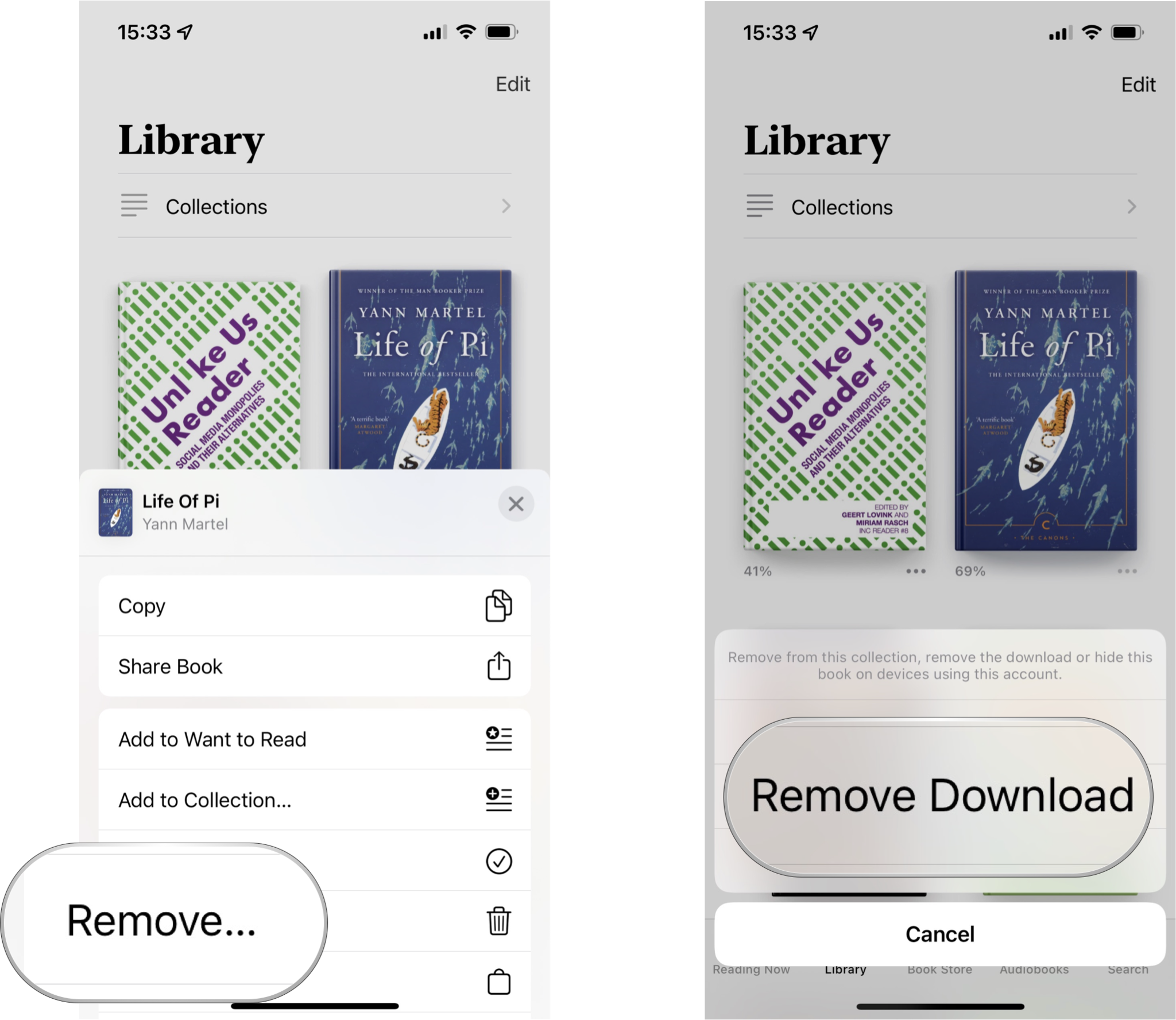 How to a delete book in Apple Books: Tap Remove..., then tap Remove Download