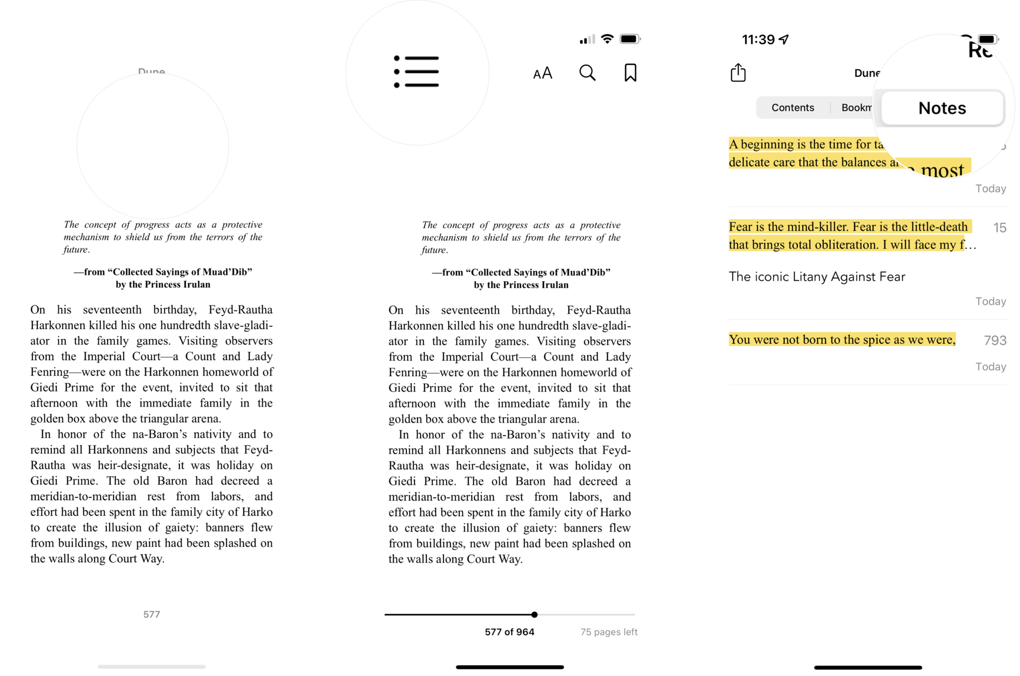 How to review notes in a book in Apple Books: tap a blank part of the page to bring up the controls, tap the list icon, tap the Notes tab