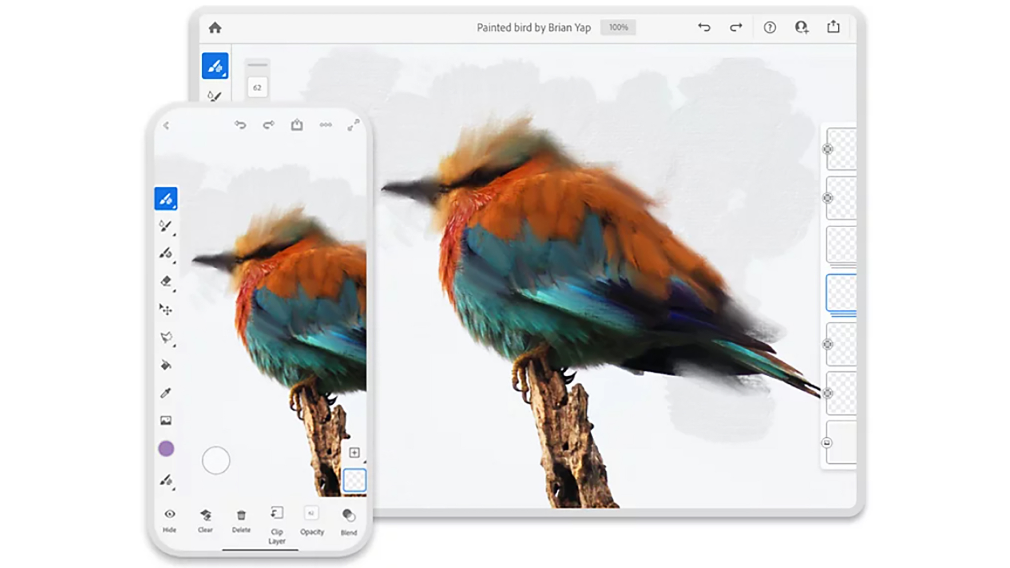 Adobe Fresco Birds Iphone And Ipad