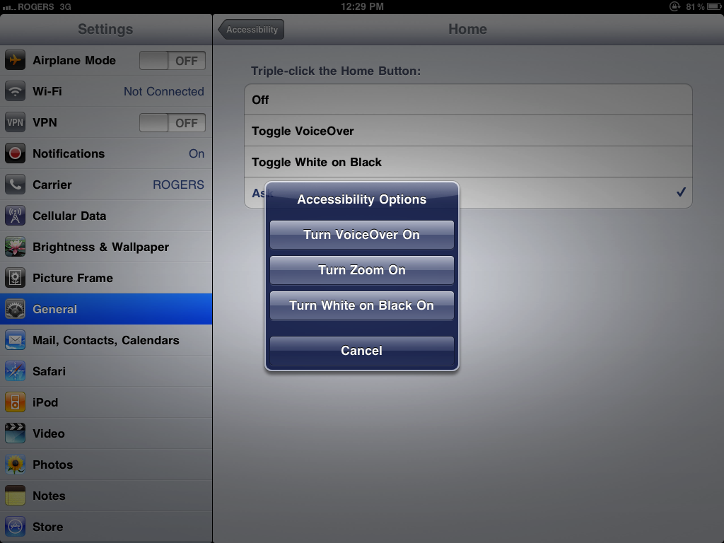 iPad accessibility options