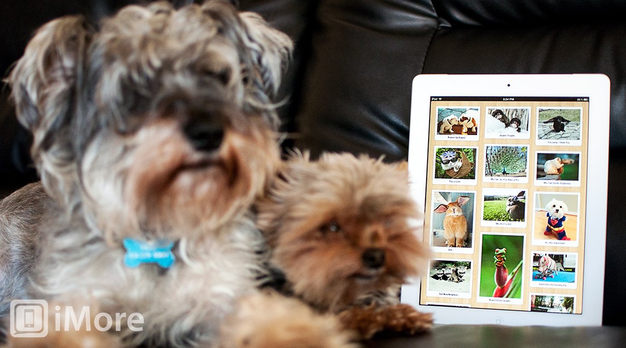Cutest Paw for iPhone and iPad review