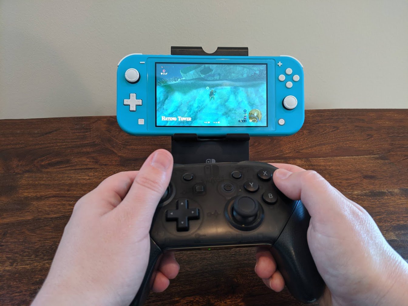Nintendo Switch Lite with Pro Controller