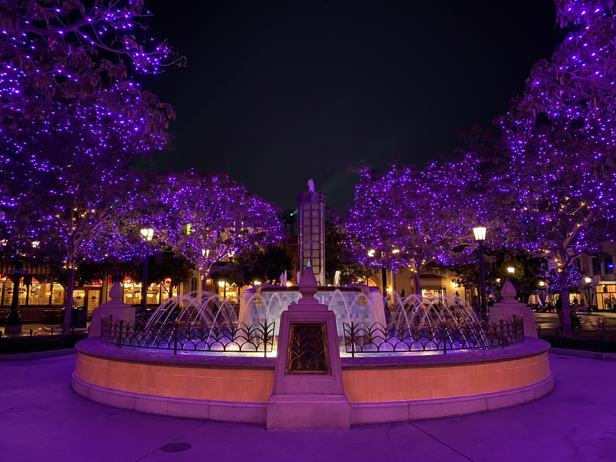 Purple lights in trees at Disney California Adventure Beuna Vista Street