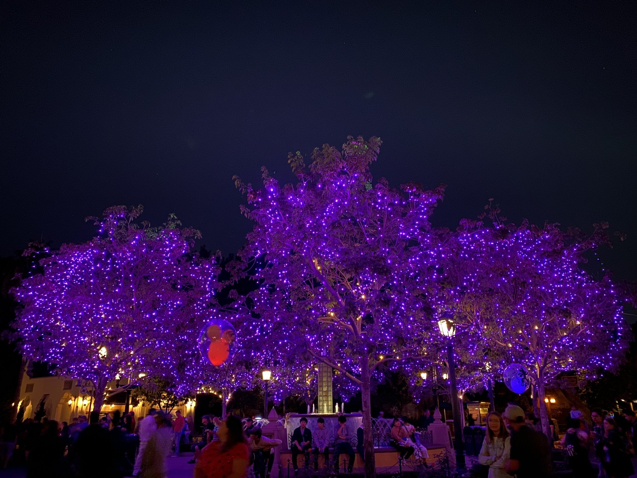 Purple lights in trees in Disney California Adventure Park