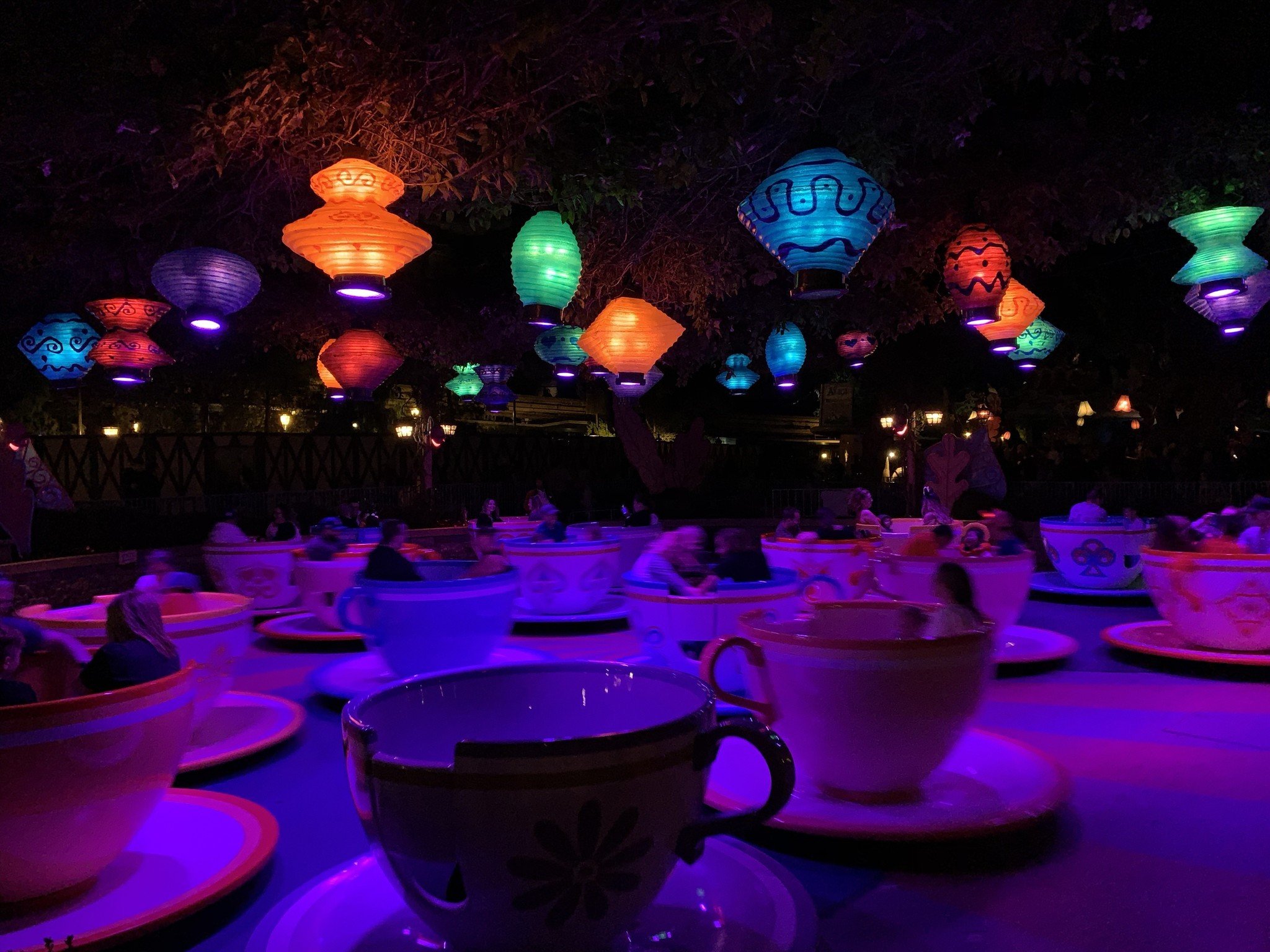 Disneyland Alice in Wonderland Teacups