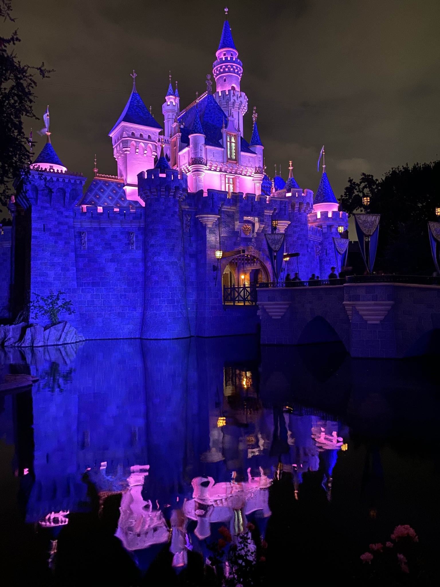 Sleeping Beauty's Castle side view reflection in water Night Mode