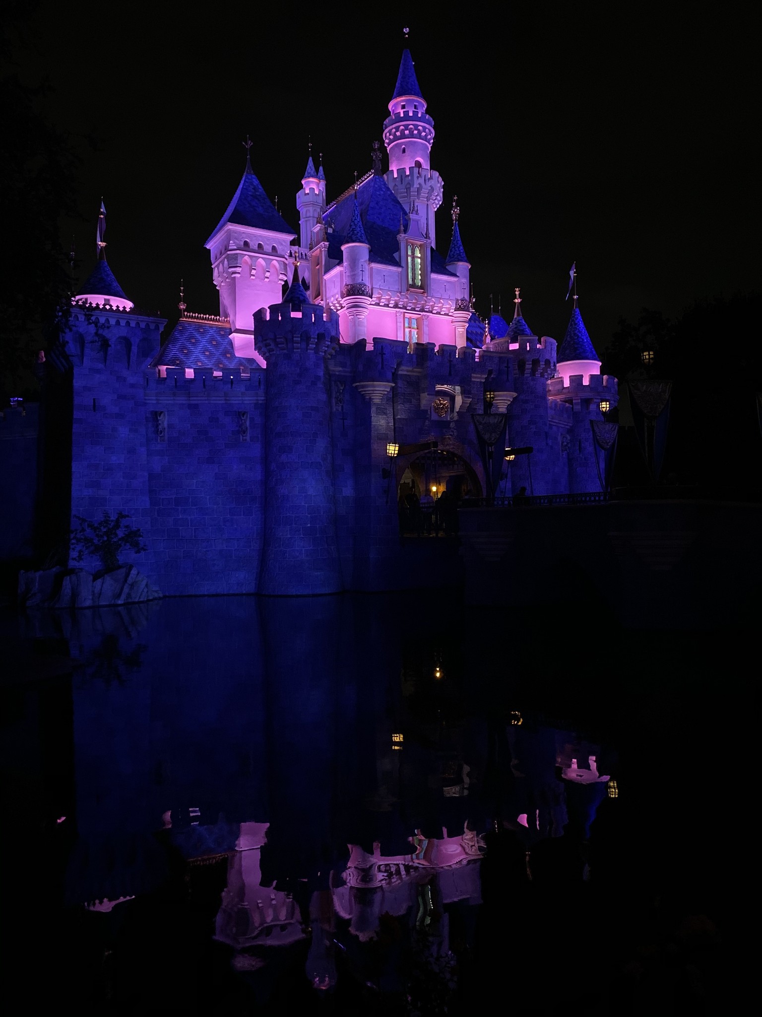 Sleeping Beauty's Castle side view