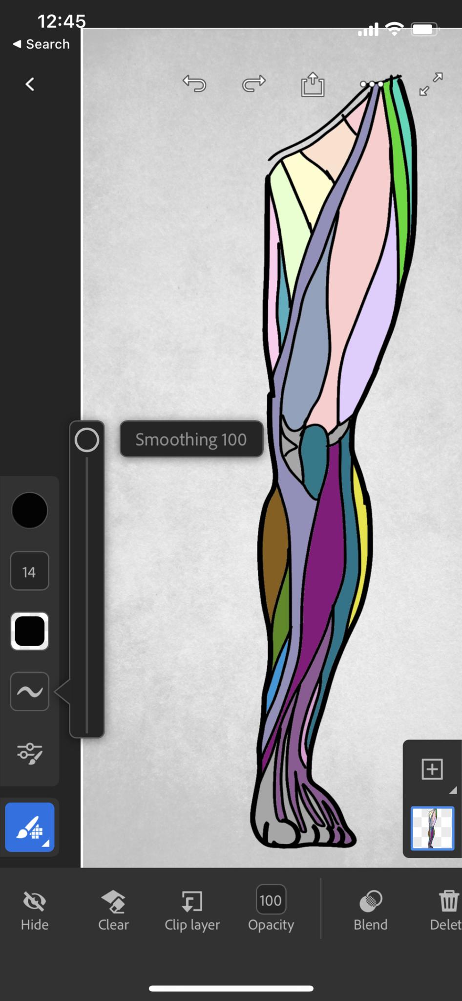 Adobe Fresco Smoothing Screenshot iPhone