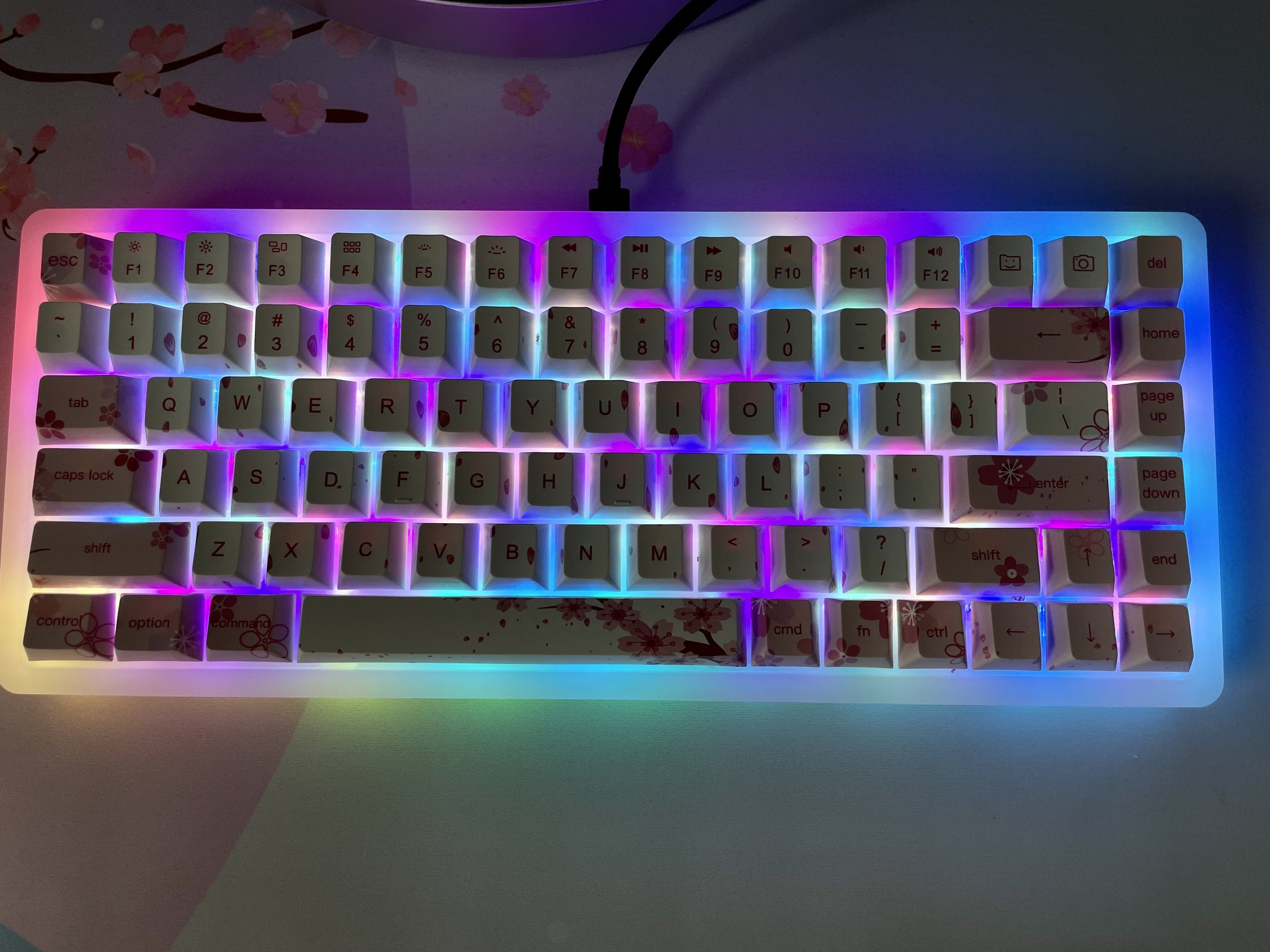 Marsback M1 Keyboard Acrylic Lit