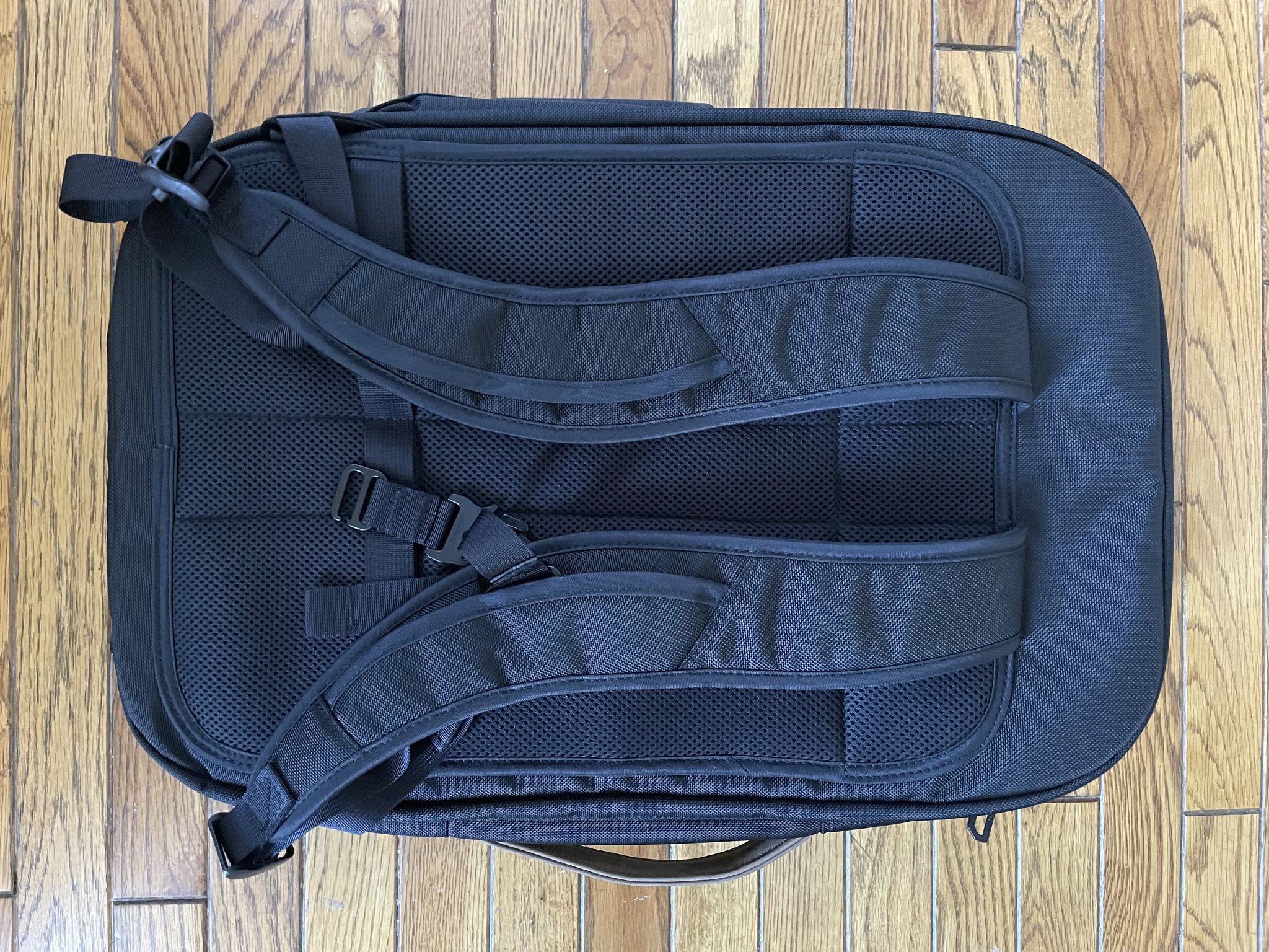 Waterfield Air Travel Backpack Lifestyle Back
